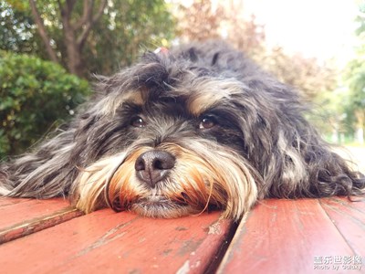 【難忘2022】+又胖一圈的七月