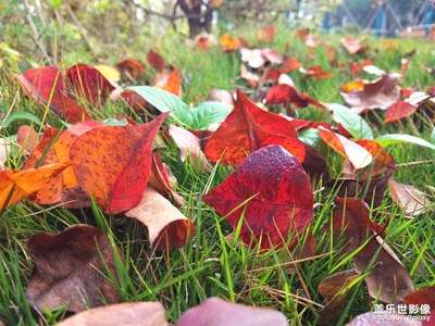 【生活隨拍】+如題