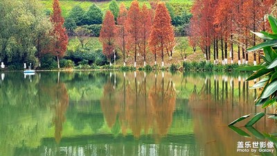 【生活隨拍】+?閱山湖公園