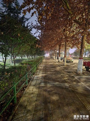 我的s22拍照正常嗎？