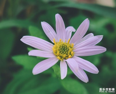 當(dāng)喜歡變成習(xí)慣