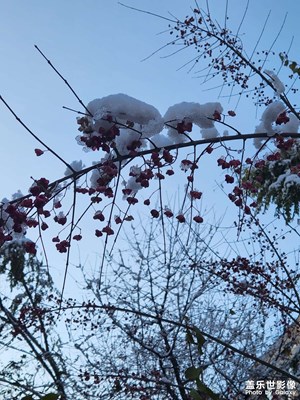 【難忘2022】+第一場雪