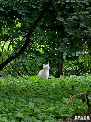 【難忘2022】+這一年