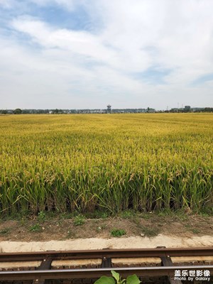 【難忘2022】+唯一的旅行