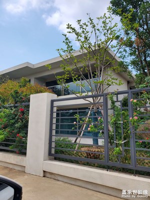 【生活隨拍】+農(nóng)村里的別墅