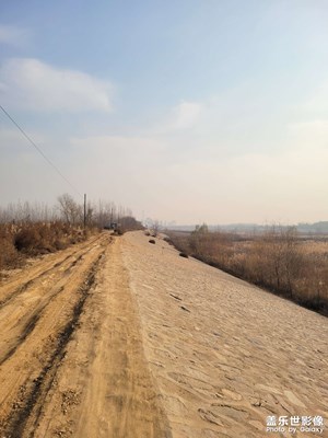 【生活隨拍】+ 日常