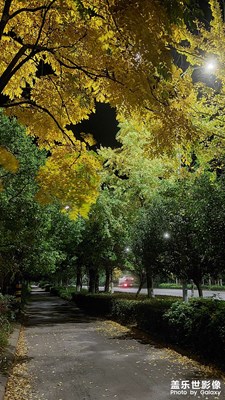 【生活隨拍】+?日常