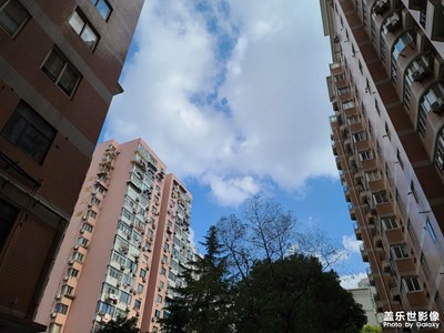 今天是個好天氣