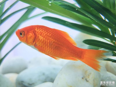 【生活隨拍】+隨拍