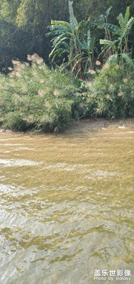 【難忘2022】江景