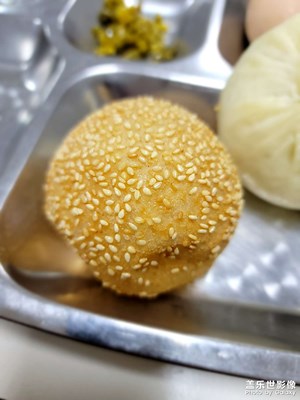 【生活隨拍】+一日三餐