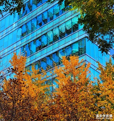 【生活隨拍】樓外的風(fēng)景