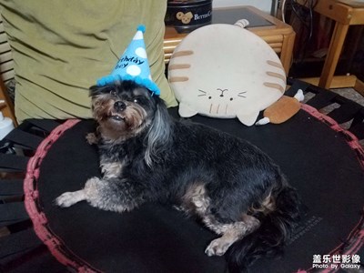 【難忘2022】+生日