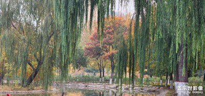 【光影記憶】+??街頭公園的彩色繽紛