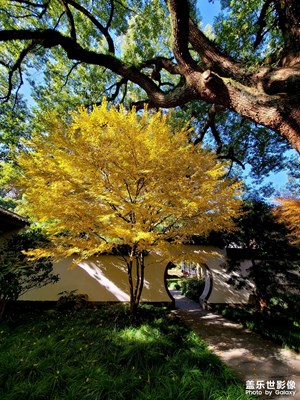 清冷又美麗的杭州