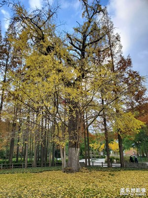 【光影記憶】+冬日美景