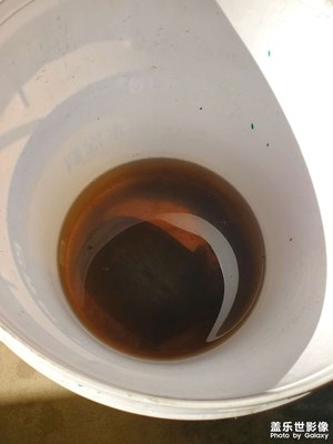 【光影記憶】+  暖陽