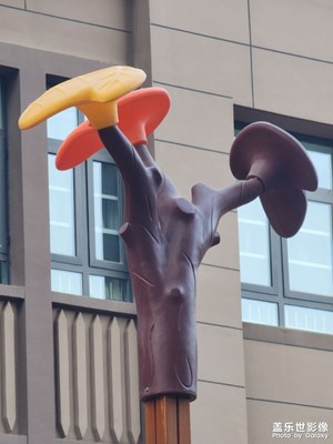 大家能看出哪個是原相機拍的嗎