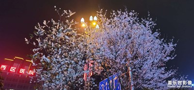 【光影記憶】那些光芒