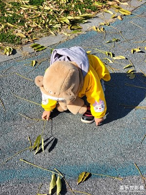 【光影記憶】假期光影