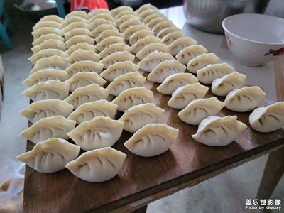 冬至來了，好吃不過餃子