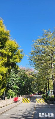 再見(jiàn)艷陽(yáng)天