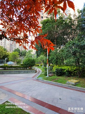 小區(qū)紅葉美