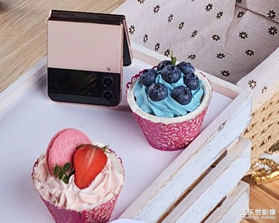 【難忘2022】+Z系列活動