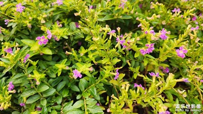 【新生活】+??快樂(lè)生活