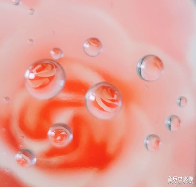 【難忘2022】+回憶