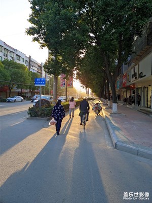 【光影】逆光隨拍