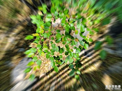 【難忘2022】+秋天極美