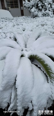 2022年的最后一場雪