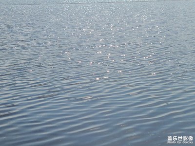 【難忘2022】+再見2022