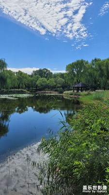 森林公園