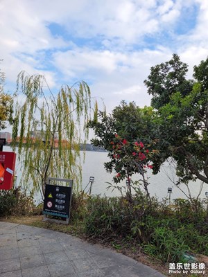 【喜迎新年】+出去玩啦元旦新年快樂