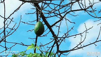 2023??新的一年好運爆棚，??愿望通通實現(xiàn)！