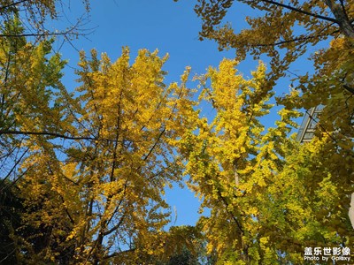 【喜迎新年】再見(jiàn)2022