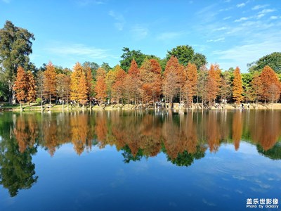 華南國(guó)家植物園