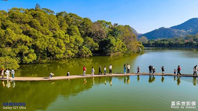 龍?zhí)豆珗@【隨拍】