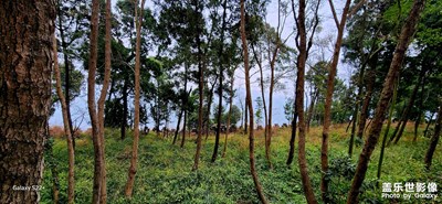 星耀云頂，龍泉山山脈??的魅力！