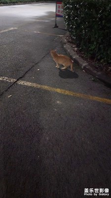 【回家路上】每天都回家