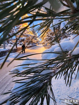【回家路上】下雪的早晨