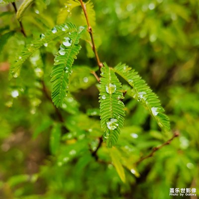 千燈湖溜達(dá)溜達(dá)