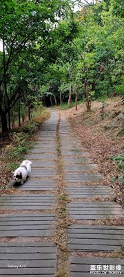 A系列拍照的天花板，自認(rèn)為沒有之一！