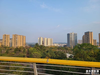 【回家路上】+回家，登高望遠(yuǎn)