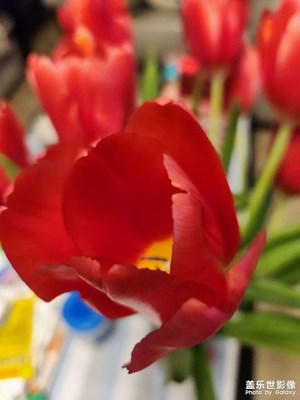 【新年快樂】家里換新顏