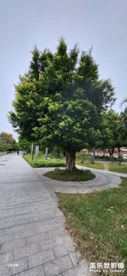 冷冷清清的早上