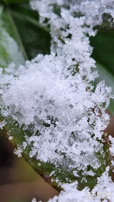 【過(guò)大年】——新年好呀