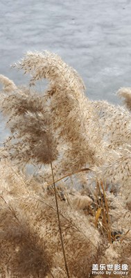 三星s拍照2023.19日